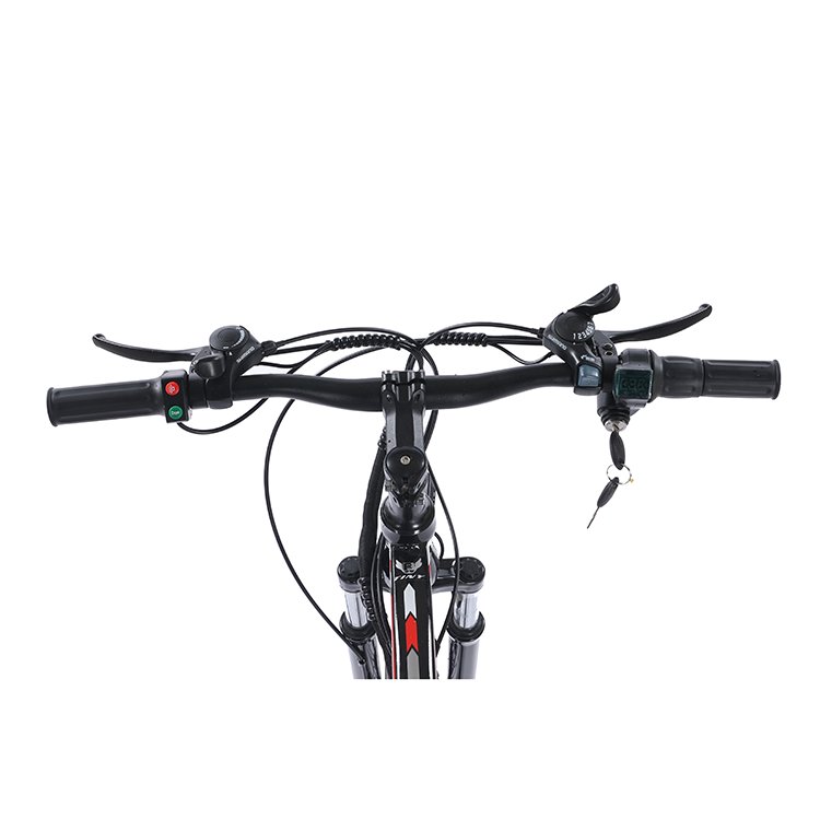 Electric 21-Speed Aluminum Alloy Mountain Bike 250W/ 350W/ 500W/ 750W MTB Bicycle with 48V Rear Hub Motor and Lithium Battery
