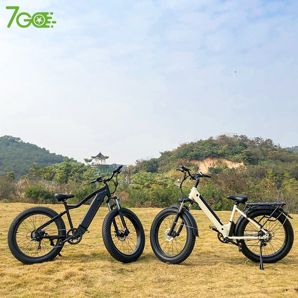 2022 48V 500W/1000w e-bike fat tire electric mountain bike full suspension mountain electric bicycle