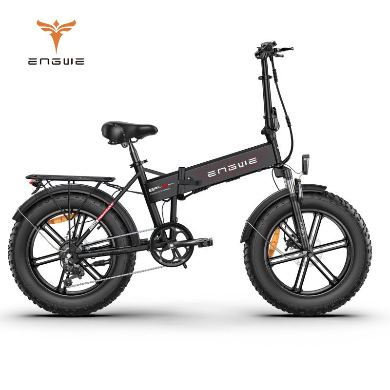 EU ENGWE EP-2PRO mountain electric bike 750w 20inch fat tire e bike electric mountain bike for adults
