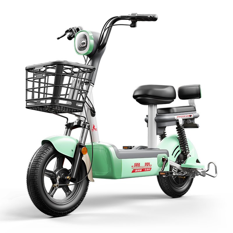 500W 48V 24AH 14 Inch 150km 2 Seater Electric Bike City Leisure Adult Electric Bike Factory Cheap For Sale
