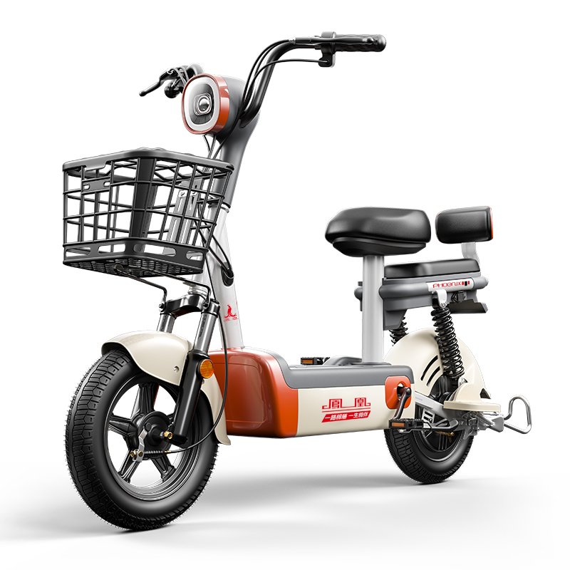 500W 48V 24AH 14 Inch 150km 2 Seater Electric Bike City Leisure Adult Electric Bike Factory Cheap For Sale