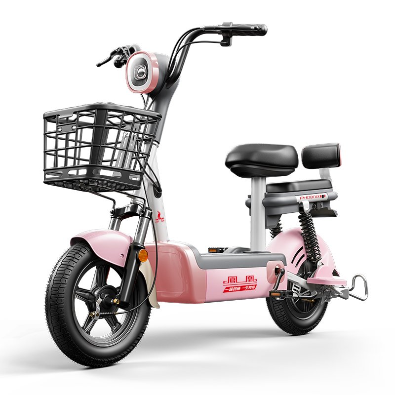 500W 48V 24AH 14 Inch 150km 2 Seater Electric Bike City Leisure Adult Electric Bike Factory Cheap For Sale