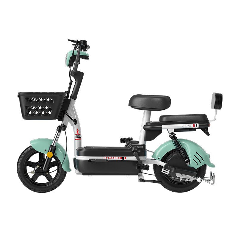 500W 48V 24AH 14 Inch 150km 2 Seater Electric Bike City Leisure Adult Electric Bike Factory Cheap For Sale