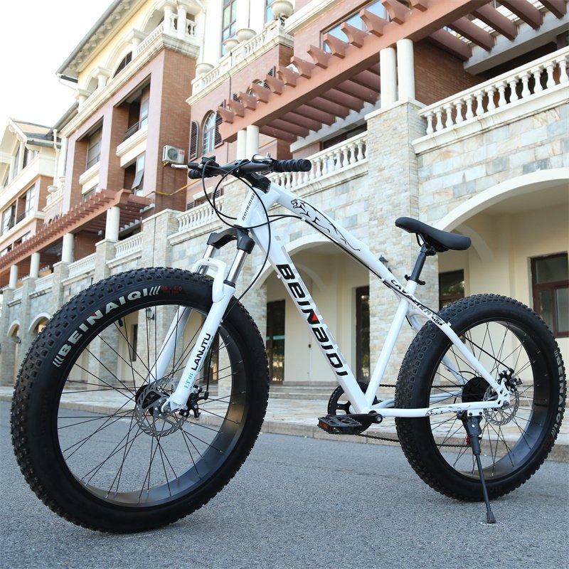 Popular Adult Exercise Dirt Bike with Variable Speed Fat Tire Fat Wheel 21 Speed Gears Aluminum Steel Fork Disc Brake System
