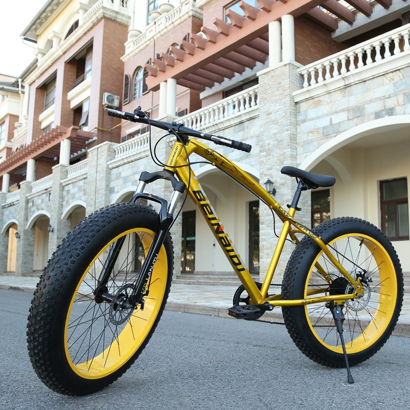 Popular Adult Exercise Dirt Bike with Variable Speed Fat Tire Fat Wheel 21 Speed Gears Aluminum Steel Fork Disc Brake System