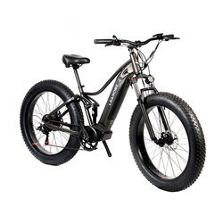 350/500/750/1000W