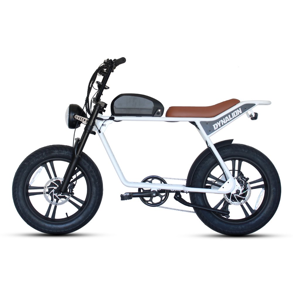 New Arrivals 750W 1000W Mountain Ebike High Speed Electric Bike 48v Fat Tire Mountain Electric Bicycle Bike For Adults