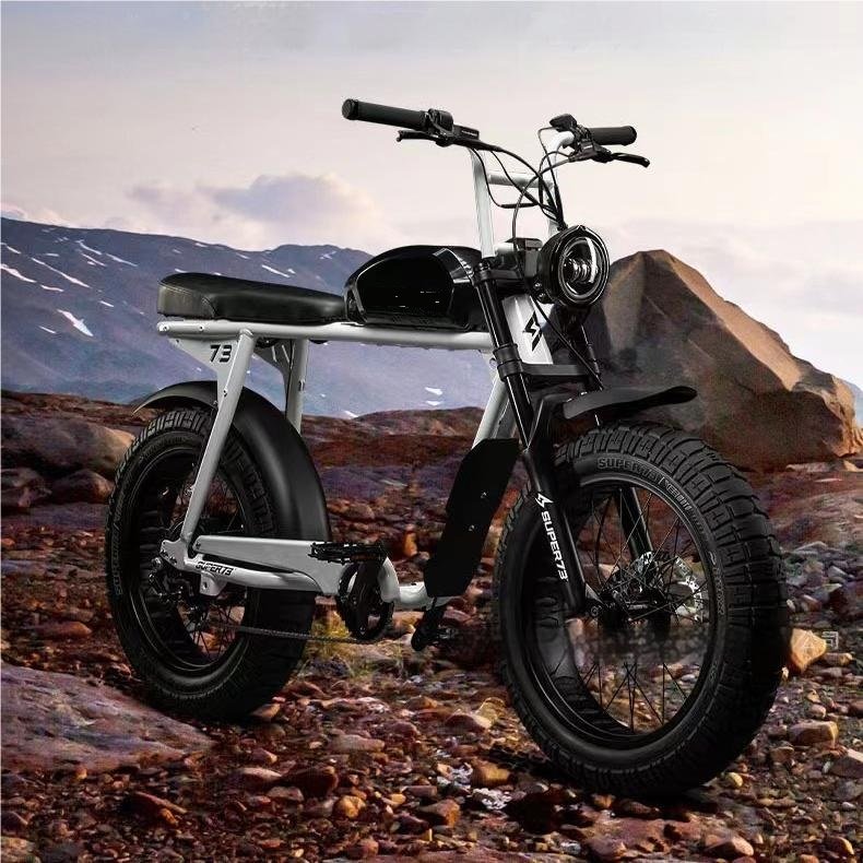 Fat Tire 48V 400W Mountain Bike 7 Speed Aluminum Alloy Electric Mountain Bike Electric Dirt Bike