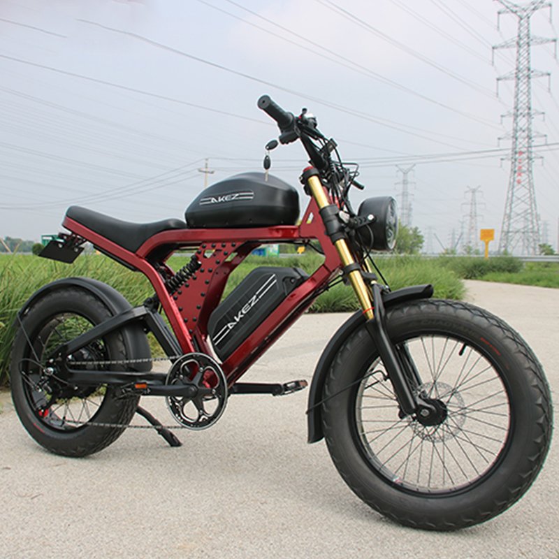 US warehouse 20 inches off road ebike dual battery 52V1500W 55Ah fast electric bicycle retro motorcycle for adults