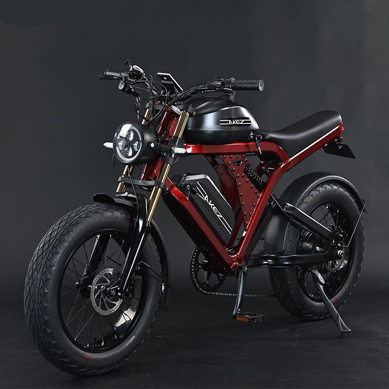 US warehouse 20 inches off road ebike dual battery 52V1500W 55Ah fast electric bicycle retro motorcycle for adults