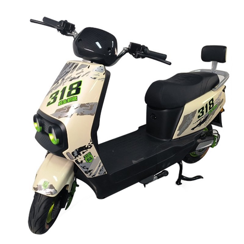 Paige electric bike 60v20ah 1000w brushless motor e city moto electrica popular scooter customization 318 cheap powerful ebike