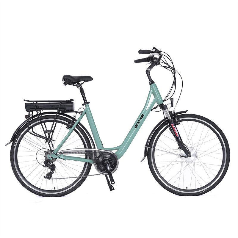 New Model Electric City Bike 250w/light Weight Electric City Bike 48v For Sale/wholesale E Bike Electric Bicycle City