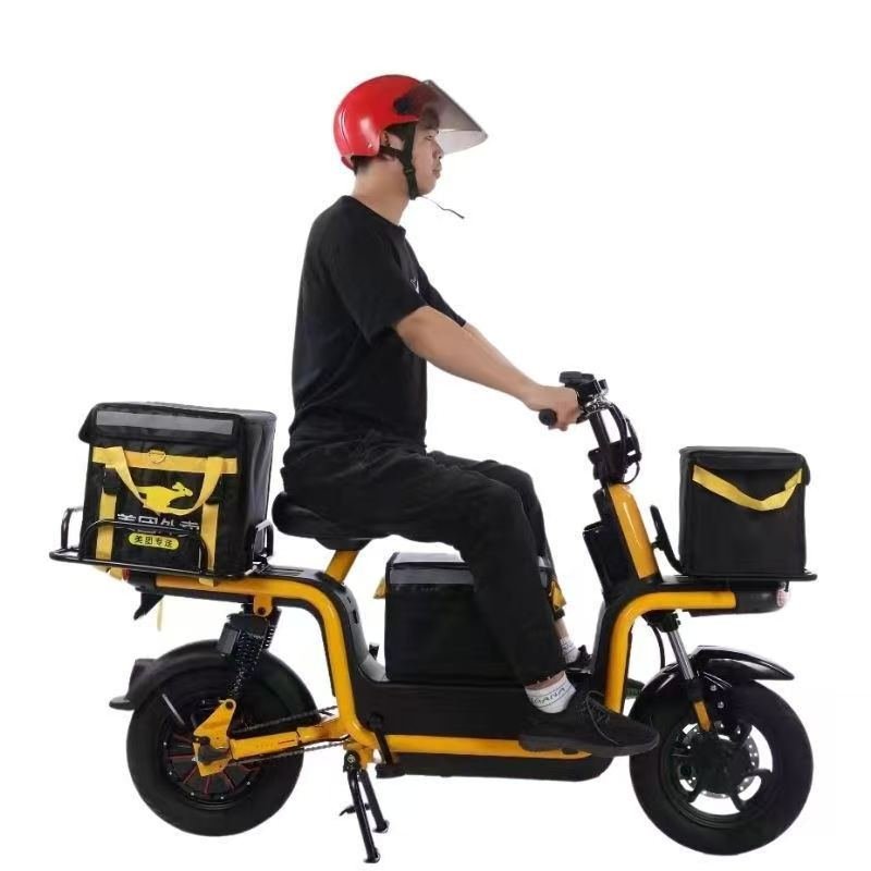 electric bicycle, delivery, passenger, 800W, hot sale, wholesale, electric motorcycle, electric scooter