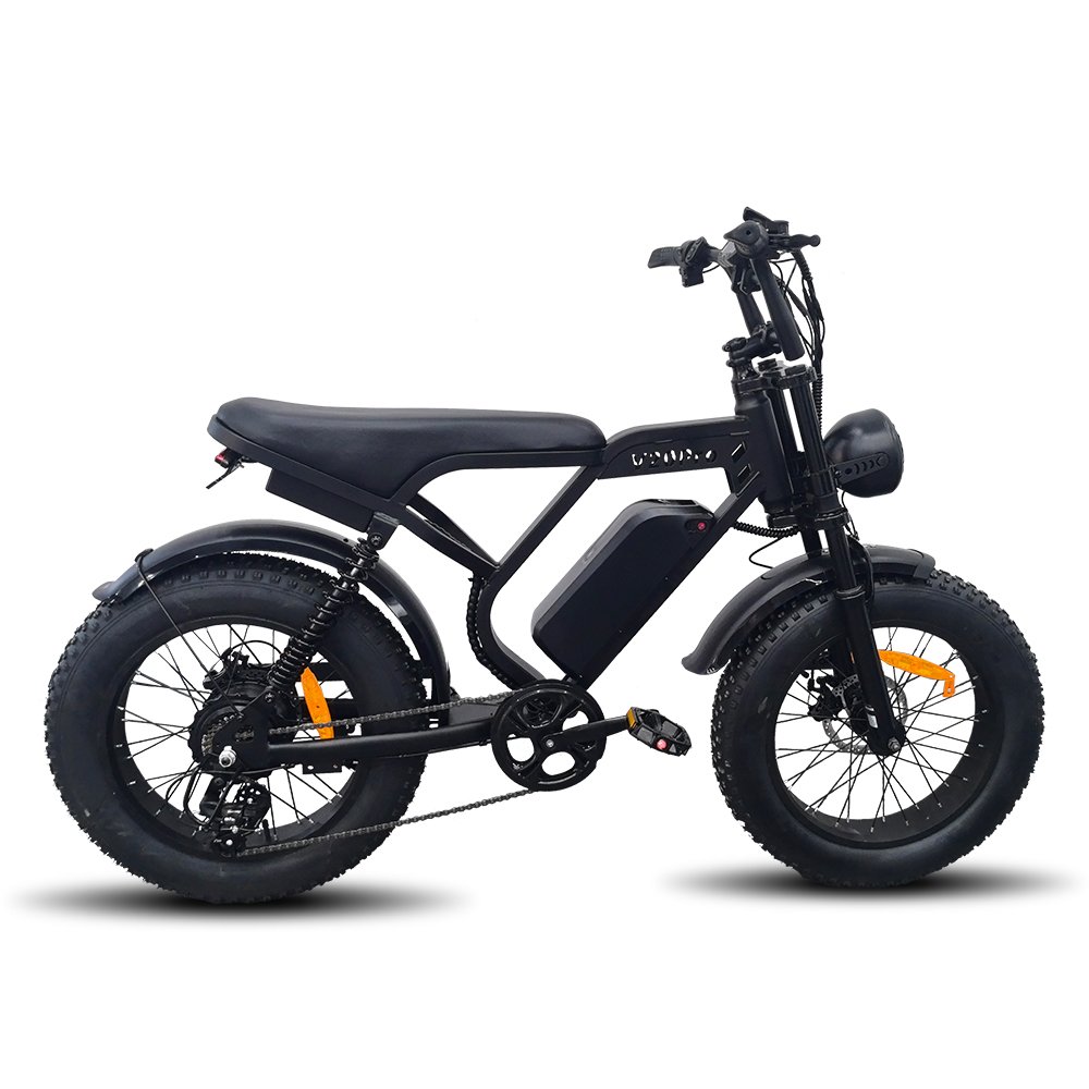 Z8PRO 24-Inch Fat Tire E-Bike Urban Electric Bicycle 250W Folding Mountain Design 1000W Rear Hub 350W Frame Adults