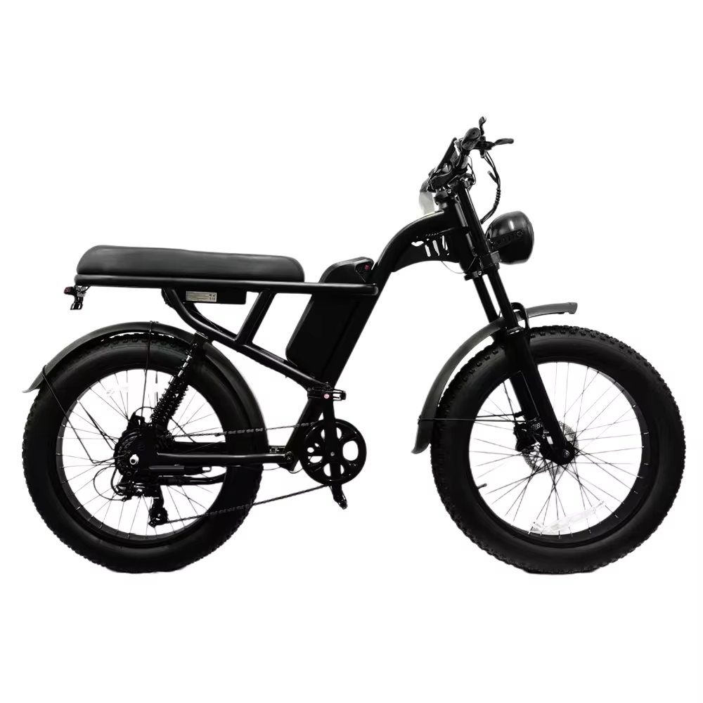 Z8PRO 24-Inch Fat Tire E-Bike Urban Electric Bicycle 250W Folding Mountain Design 1000W Rear Hub 350W Frame Adults