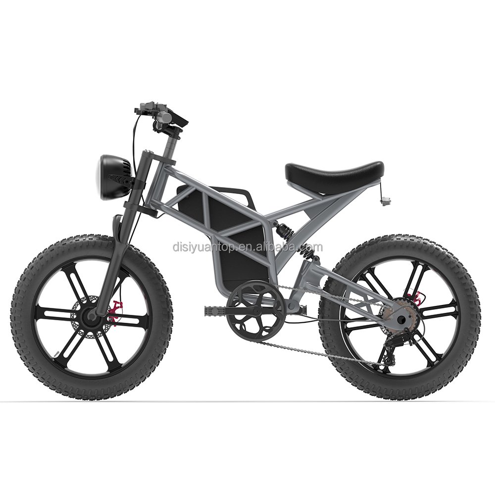 Disiyuan New s10 20 inch Cargo Mtb Electric Bike 1000w 500w Super S9 48V Fat Tire Electric Bicycle Electric Mountain Bike