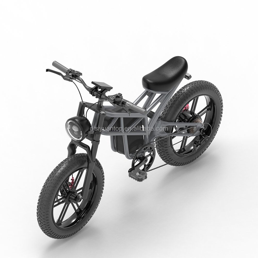 Disiyuan New s10 20 inch Cargo Mtb Electric Bike 1000w 500w Super S9 48V Fat Tire Electric Bicycle Electric Mountain Bike