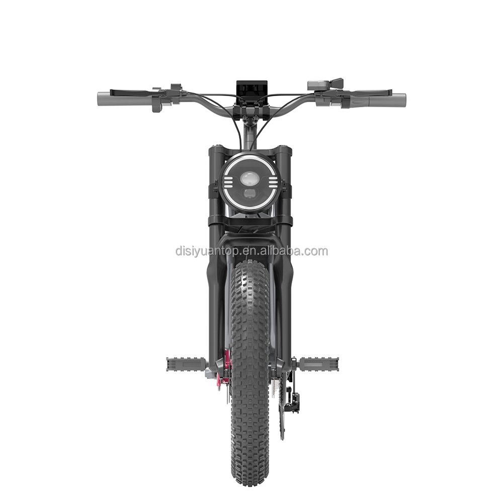 Disiyuan New s10 20 inch Cargo Mtb Electric Bike 1000w 500w Super S9 48V Fat Tire Electric Bicycle Electric Mountain Bike