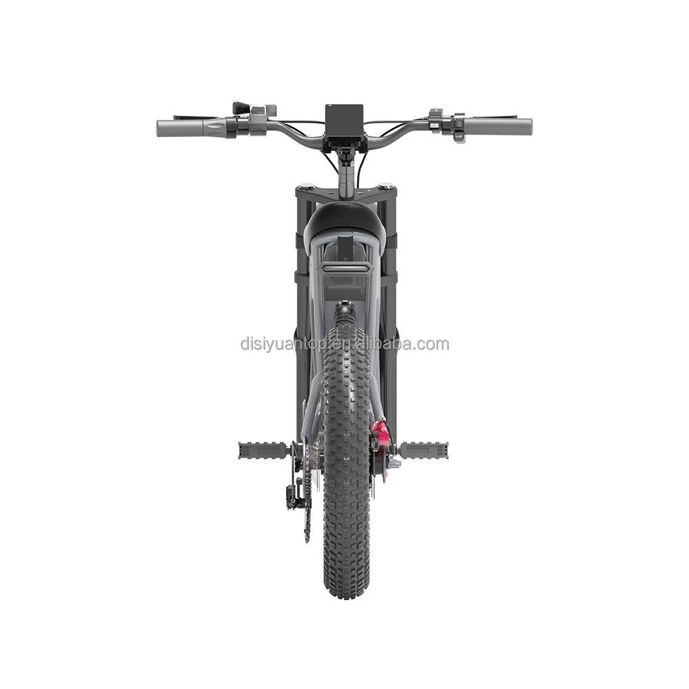 Disiyuan New s10 20 inch Cargo Mtb Electric Bike 1000w 500w Super S9 48V Fat Tire Electric Bicycle Electric Mountain Bike