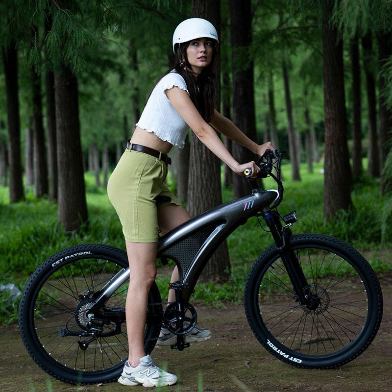 China Factory's 48V 9-Speed 26 Inch 27.5 Inch All-Terrain Electric City Bike Mountain Electric Cycle Assisted by Rear Hub Motor"