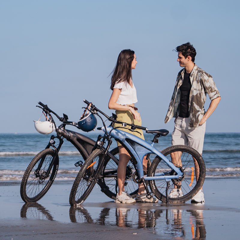 China Factory's 48V 9-Speed 26 Inch 27.5 Inch All-Terrain Electric City Bike Mountain Electric Cycle Assisted by Rear Hub Motor"