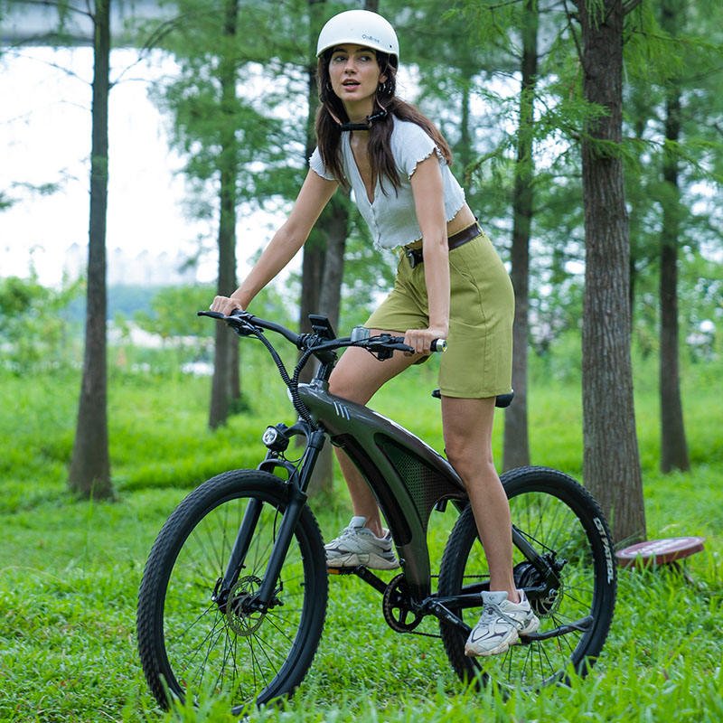 China Factory's 48V 9-Speed 26 Inch 27.5 Inch All-Terrain Electric City Bike Mountain Electric Cycle Assisted by Rear Hub Motor"