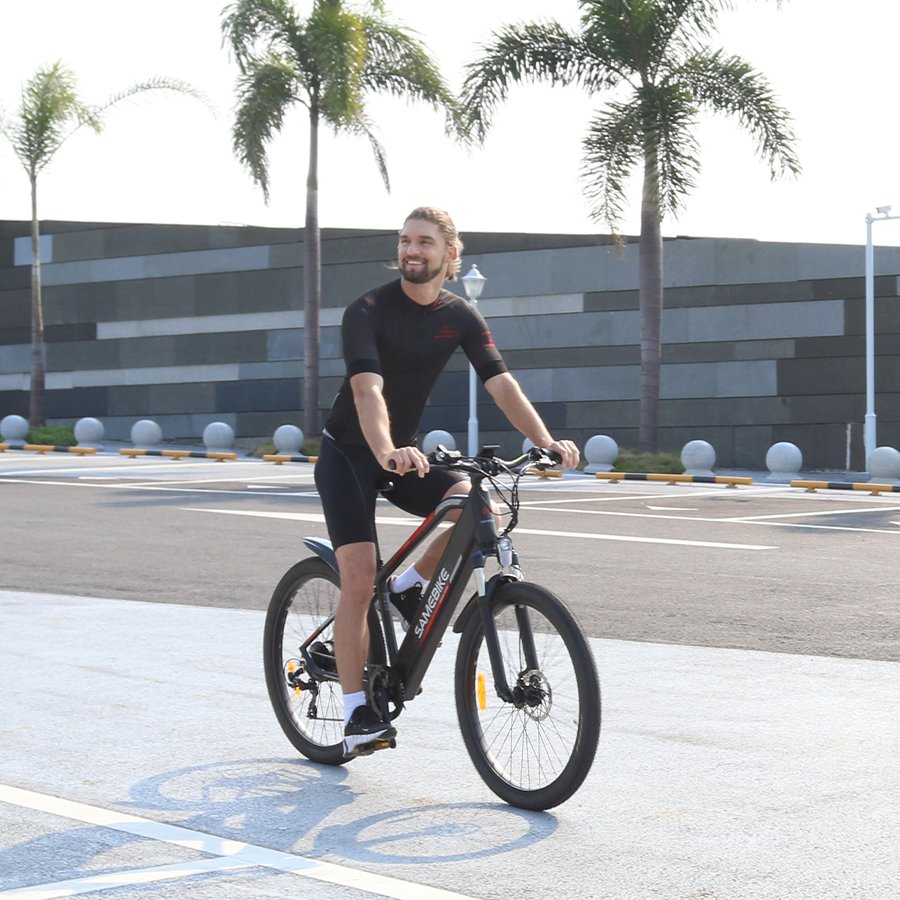2024 new item EU warehouse local stock 27.5" lithium battery pedal assisted city mountain adult MTB electric bike