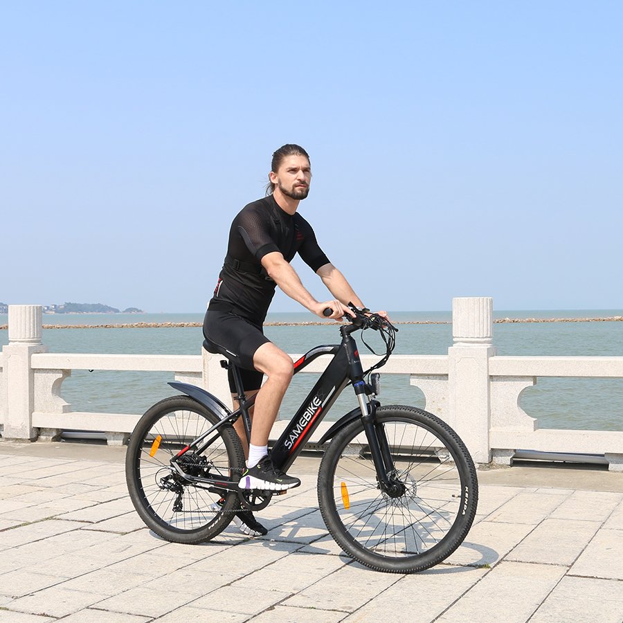 2024 new item EU warehouse local stock 27.5" lithium battery pedal assisted city mountain adult MTB electric bike