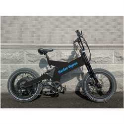 48V Fat Tire Ebike