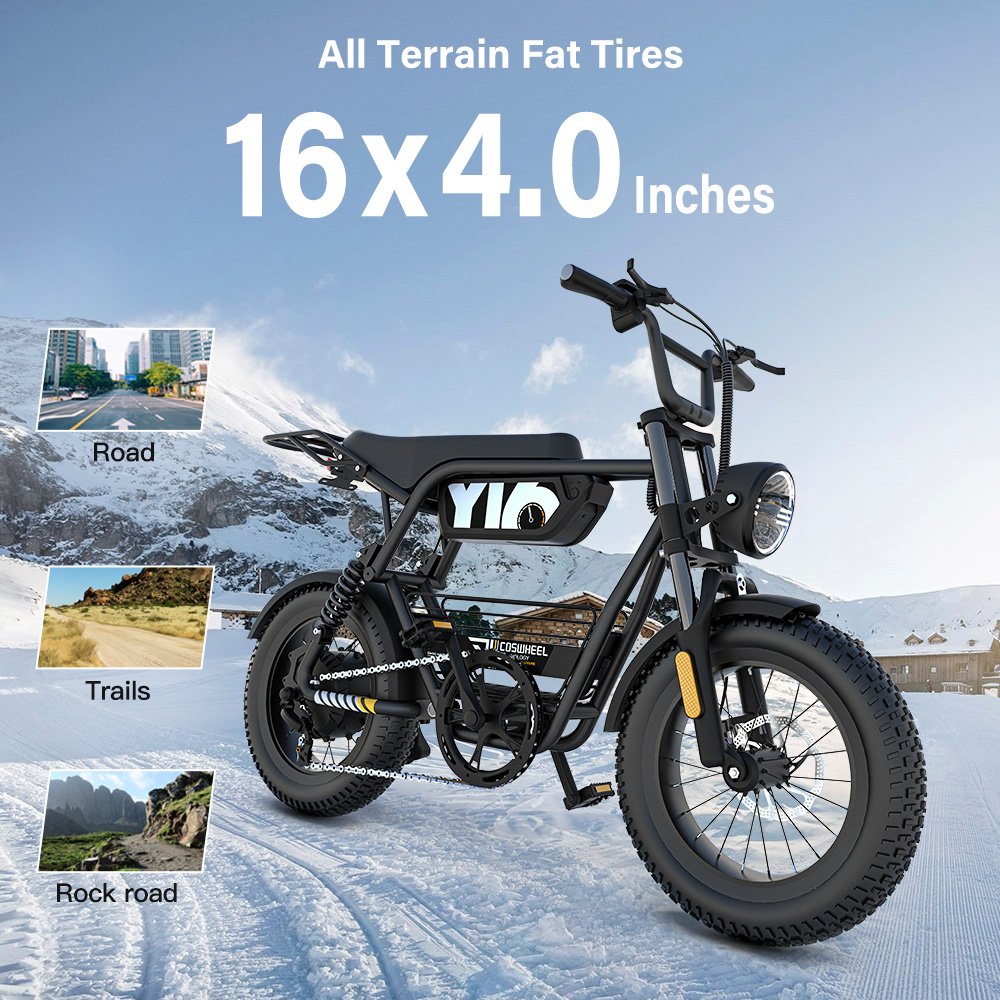 Coswheel Y16 Fatbike Factory Price Buy Electric City Bike 25km/h Bicycle Bicycle Fat Tire Cheap Electric Fat Tire Bike