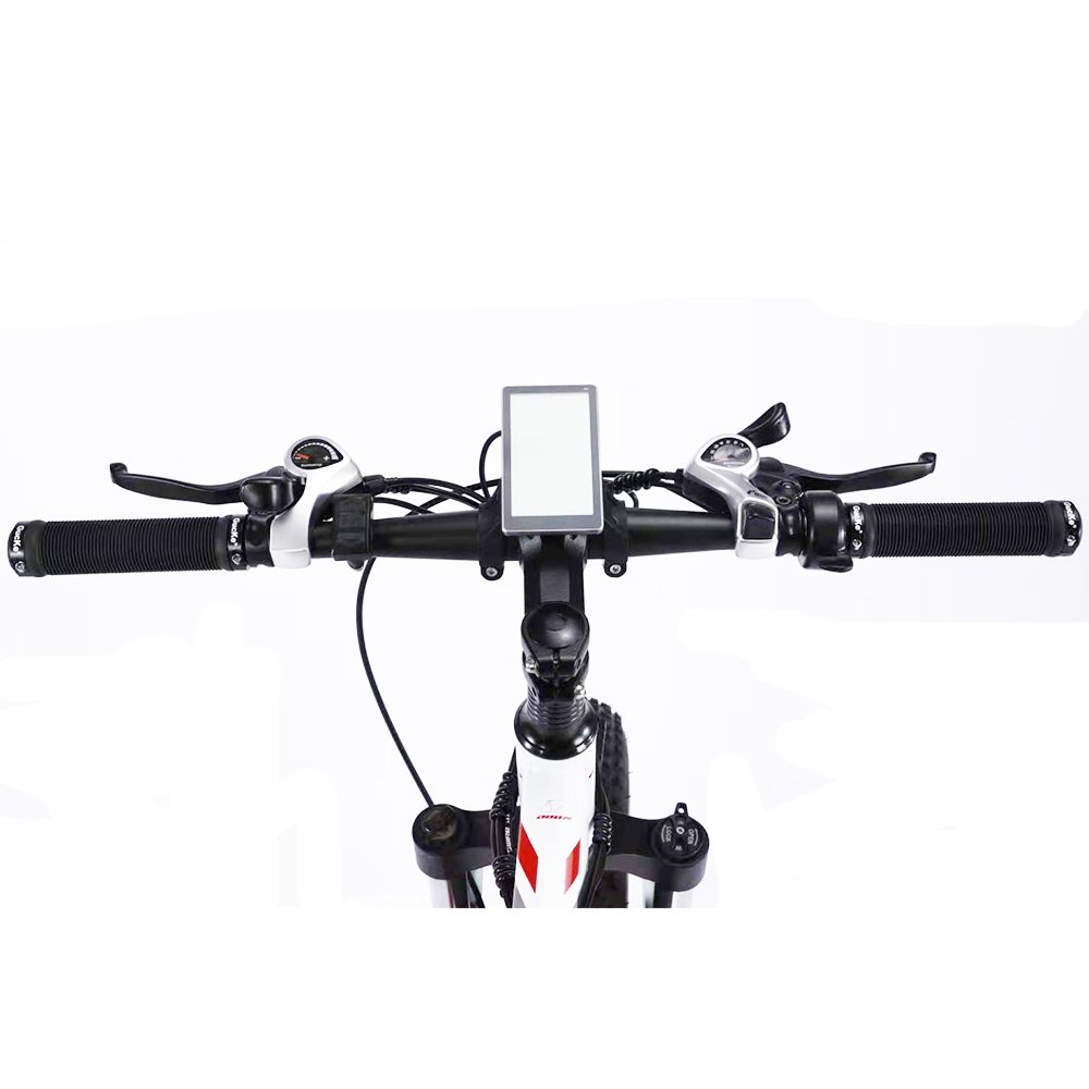 21 speed 1000w fast fat snow electric bike Aluminum alloy 26 inch bicycle electric bike