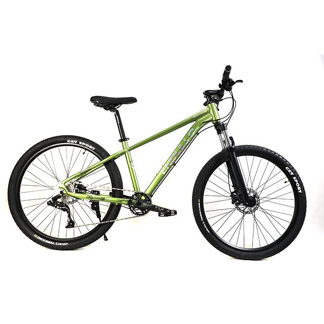 Wholesale Cheap 10 Speed MTB Men Mountain Bike Bicycle