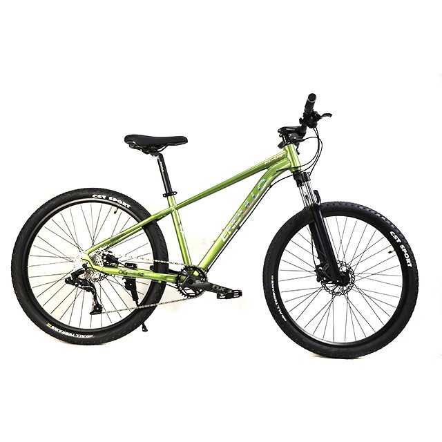 Wholesale Cheap 10 Speed MTB Men Mountain Bike Bicycle
