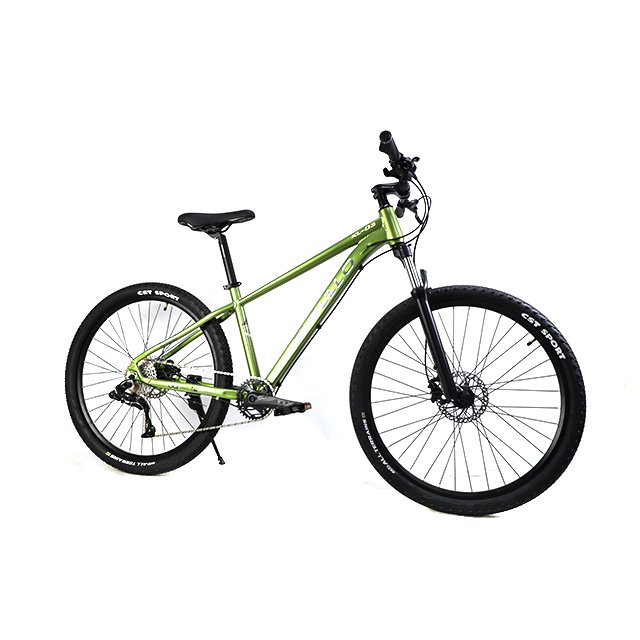 Wholesale Cheap 10 Speed MTB Men Mountain Bike Bicycle