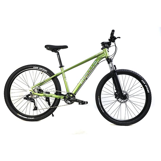 Wholesale Cheap 10 Speed MTB Men Mountain Bike Bicycle
