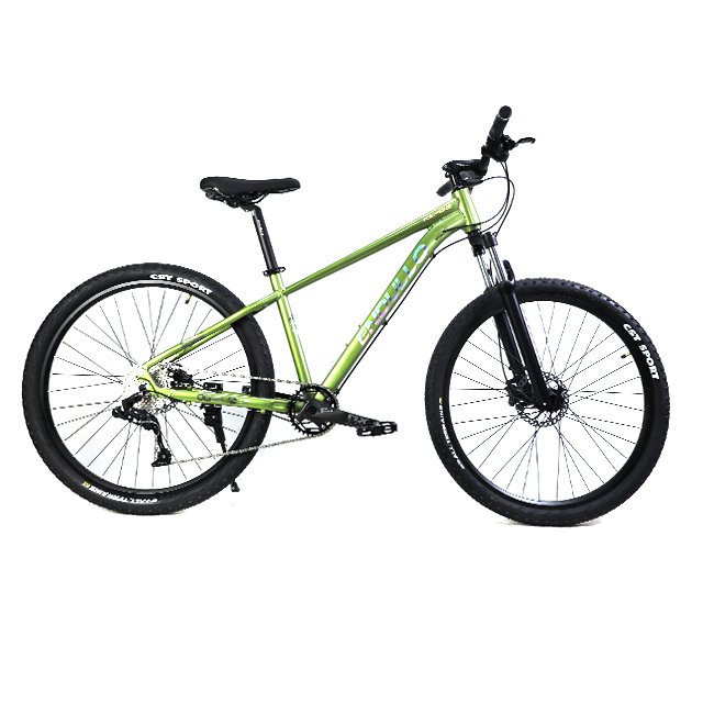 Wholesale Cheap 10 Speed MTB Men Mountain Bike Bicycle