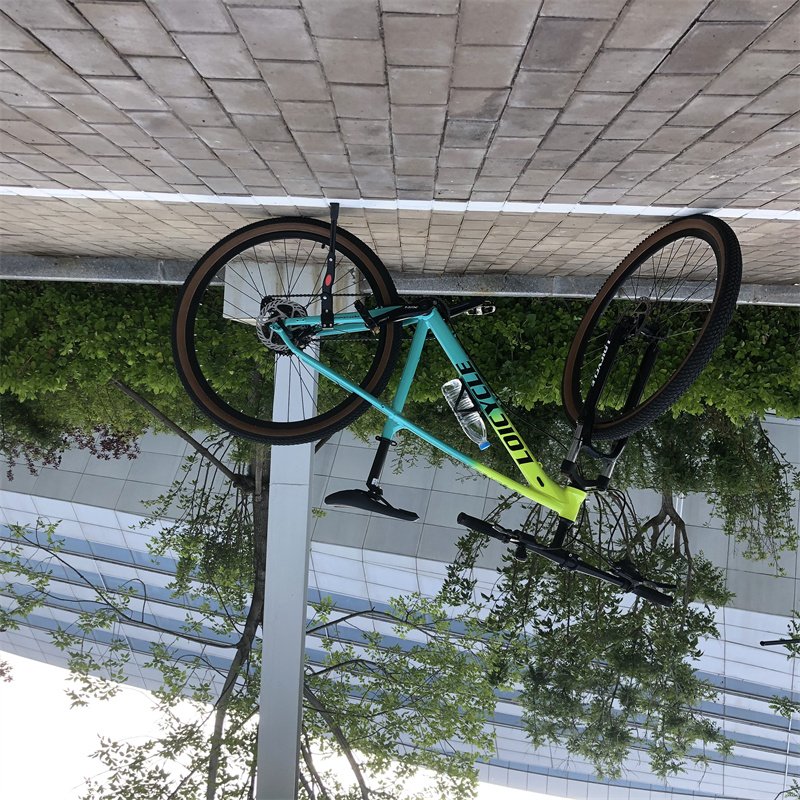 New Popular Style 29 Inch Mountain Bike with Oil Disc Brake System and 10 Speed Variable System