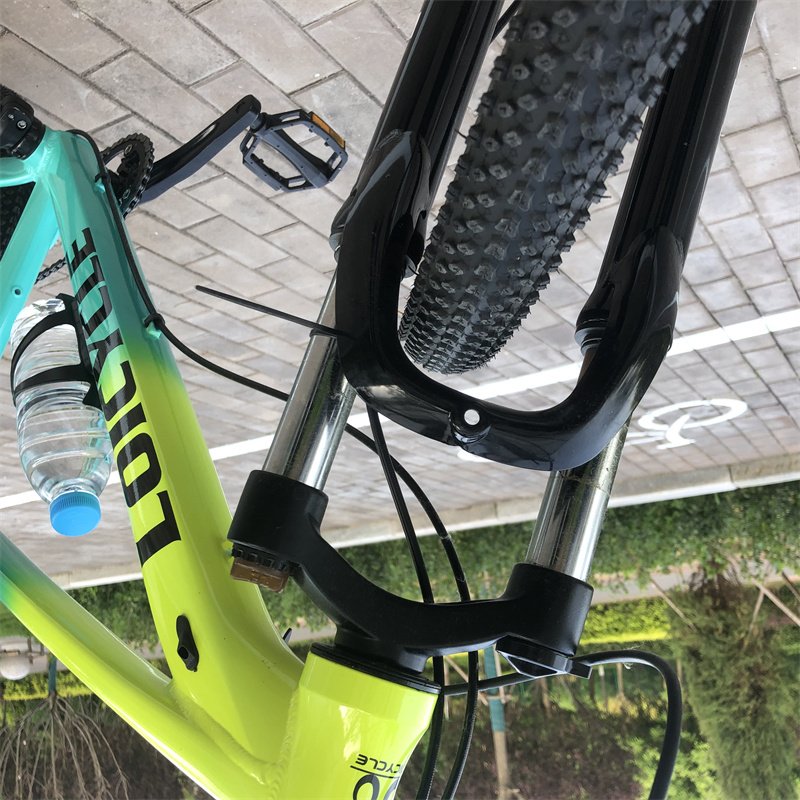 New Popular Style 29 Inch Mountain Bike with Oil Disc Brake System and 10 Speed Variable System
