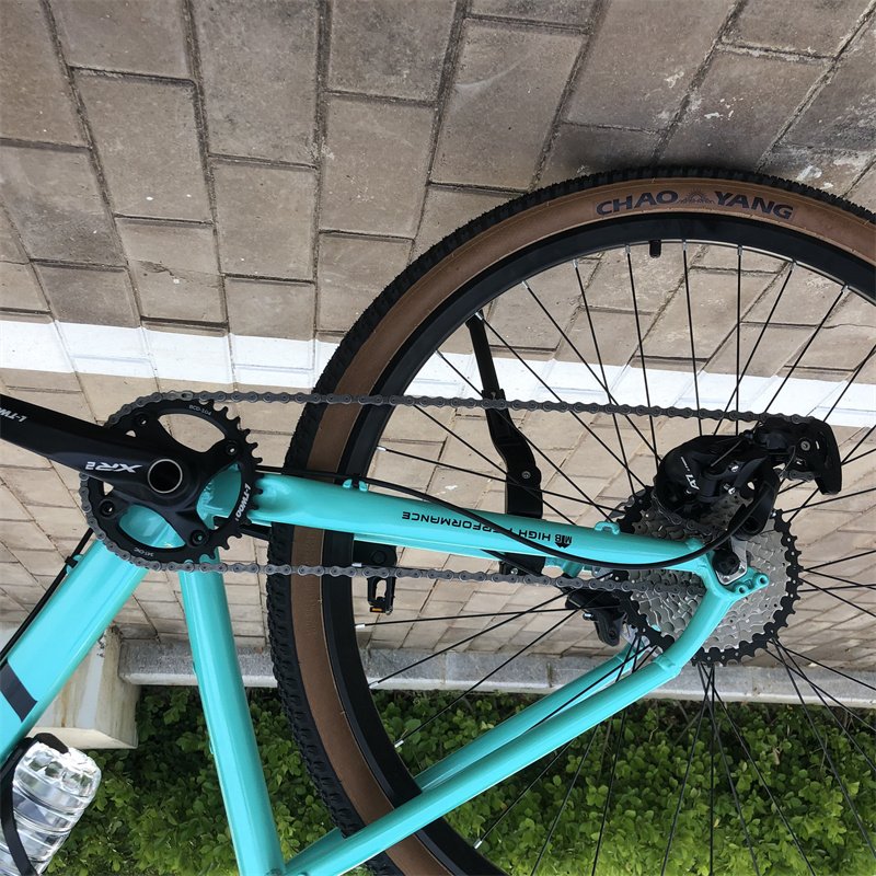 New Popular Style 29 Inch Mountain Bike with Oil Disc Brake System and 10 Speed Variable System