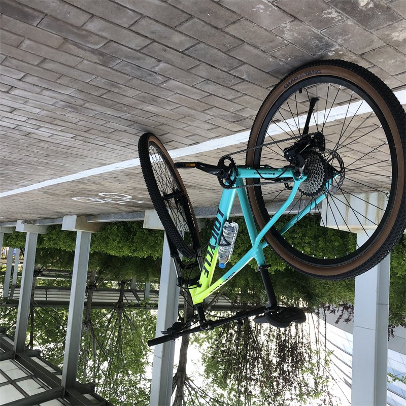 New Popular Style 29 Inch Mountain Bike with Oil Disc Brake System and 10 Speed Variable System