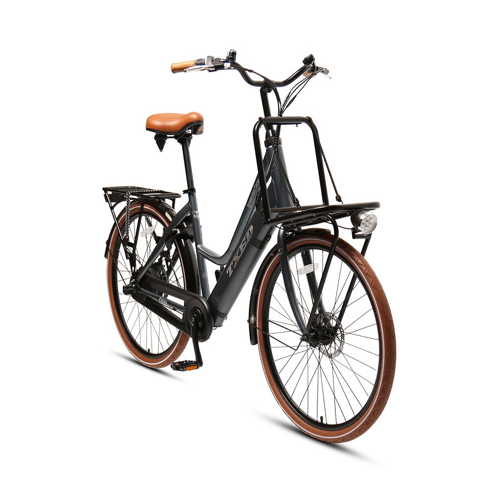 TXED new design 250W hidden battery e bike retro style electric city bike for adult