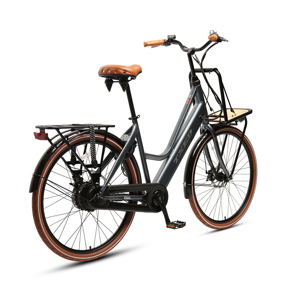 TXED new design 250W hidden battery e bike retro style electric city bike for adult