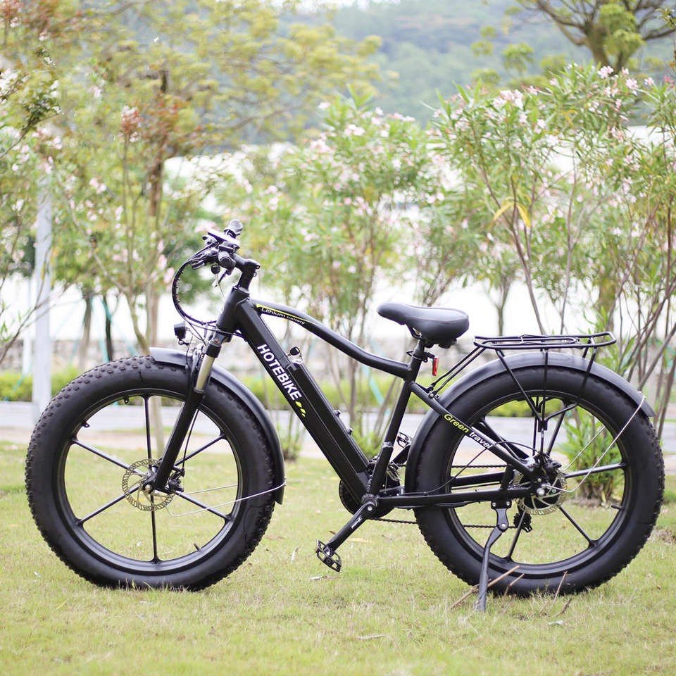 europe electric bike cheap electric bike28KM/H e bikes36V250W Motor electric off road bike
