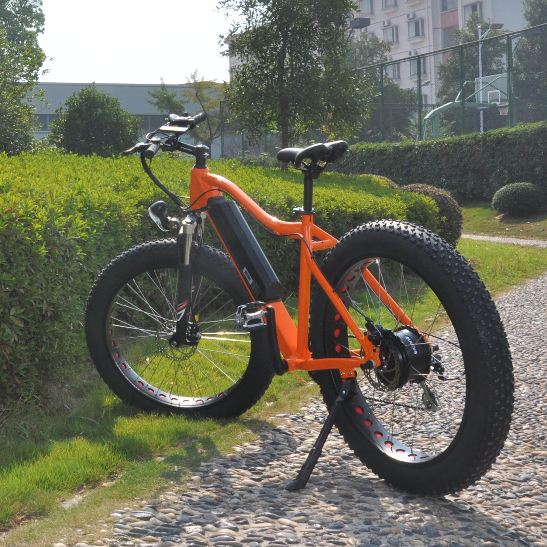 LOHAS Hot Sale Mountain Electric Bike Suspension Fork Mountain Beach Snow Ebike for Adult Electric City Bike