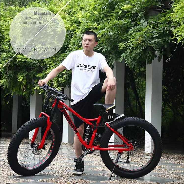 Cheap and high quality sport cool adult mountain bike beach bike china hot-selling 24/26 inch snow bike