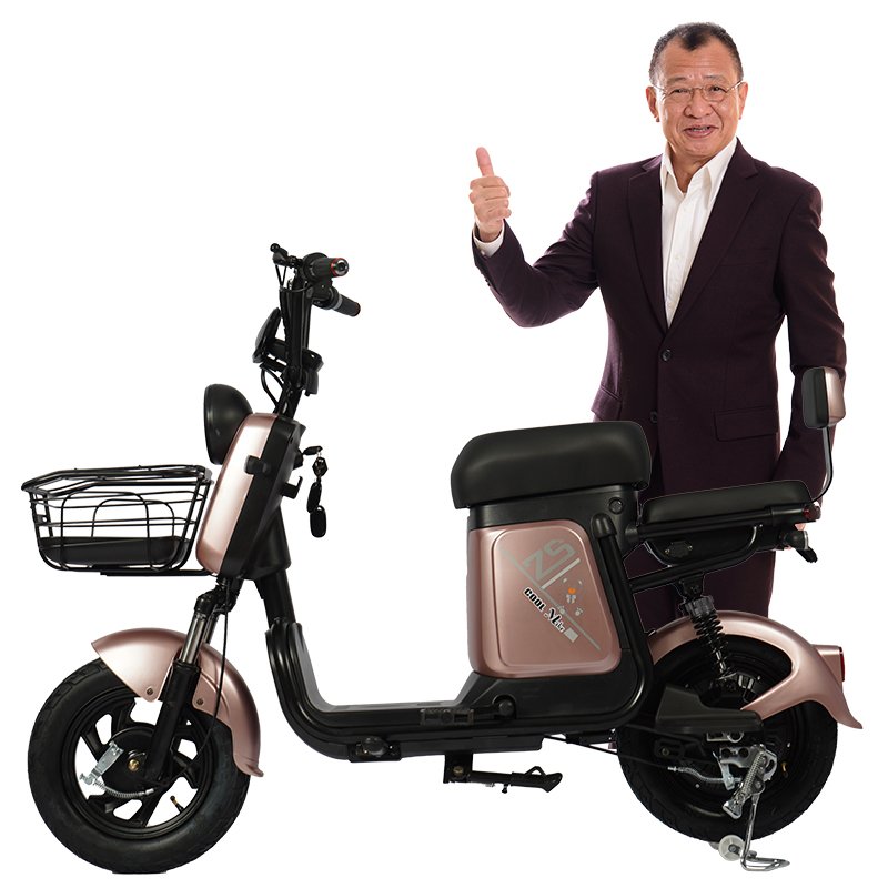 Hot sale electric scooters powerful adult electric city bike electric bike 28 inch lady style ebykes for adults electrical bike