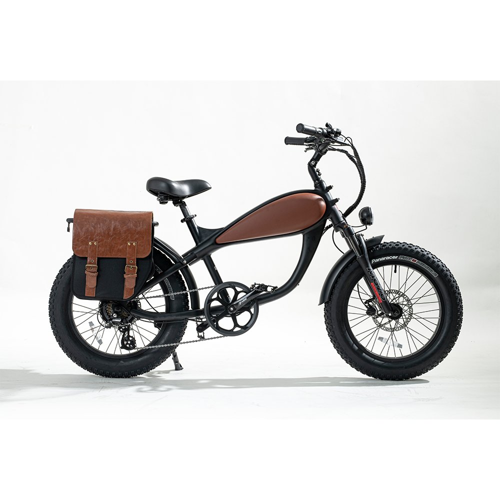 E bikes Rear 48V 750W big power electric bicycle cheap price electric mountain bike