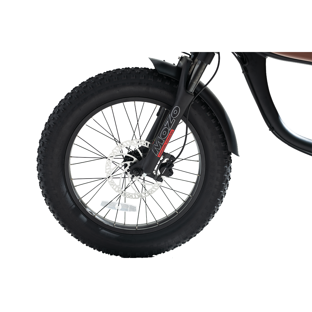 E bikes Rear 48V 750W big power electric bicycle cheap price electric mountain bike