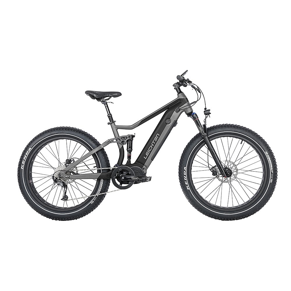 750W-1000W Bafang mid driving Electric mountain e Bike 48V 12.8ah Mountain Electric Bicycle and electric mountain bike 29 inch