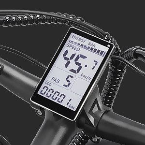 Folding Electric Mountain Bike 26 Inch 1000W 20AH/48V with Lithium Battery Best Adult Fat Tire Ebike